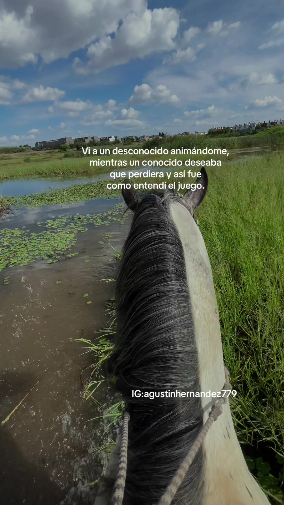@Agus🩺🐎