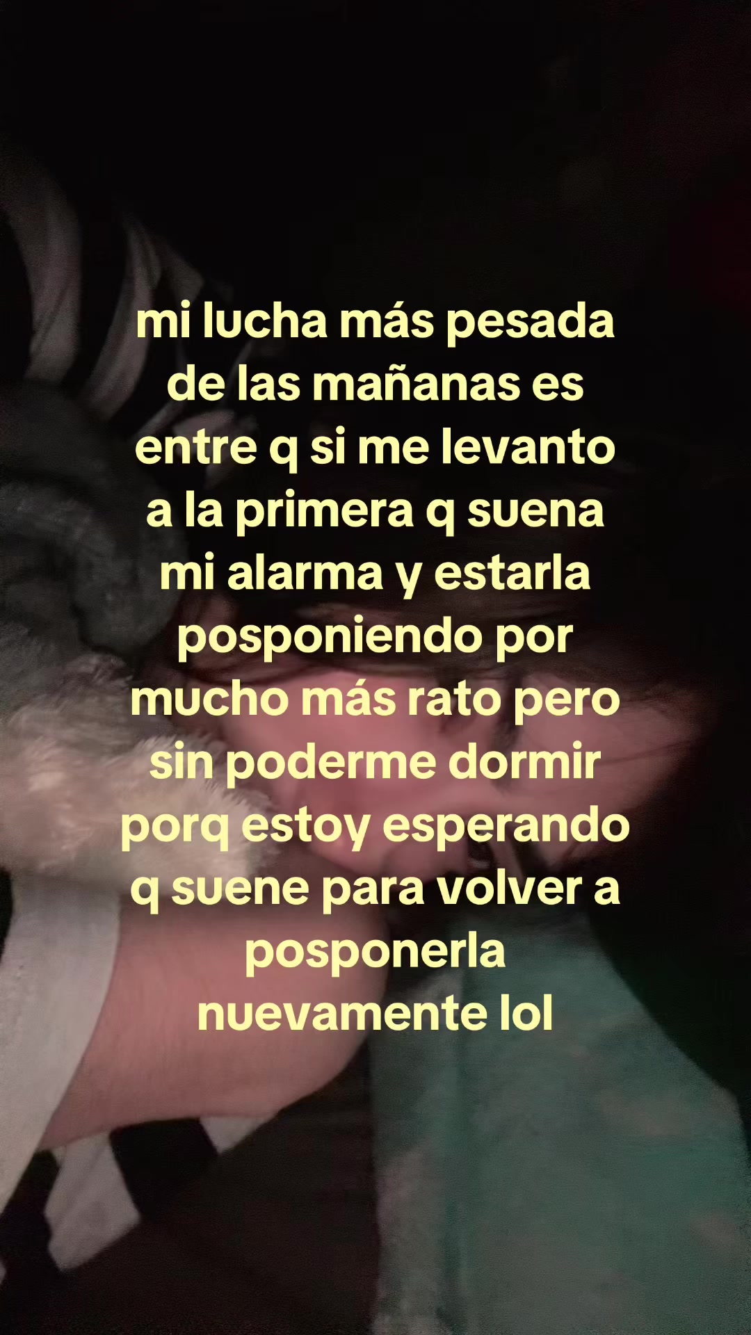 @haley