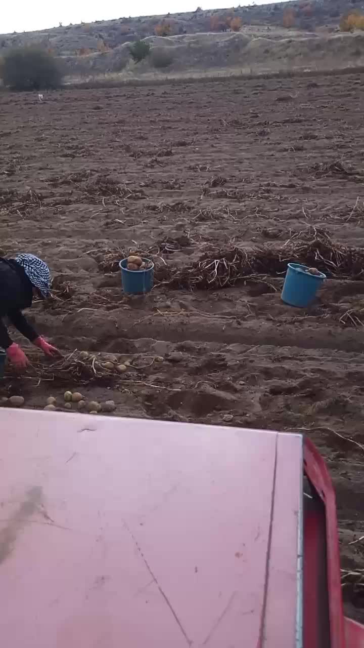 @kayaahmet50