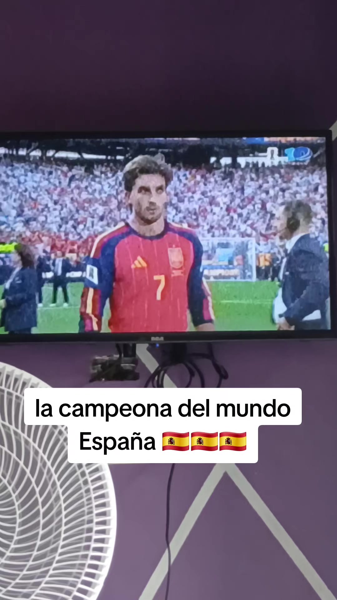 @Ana Torrez