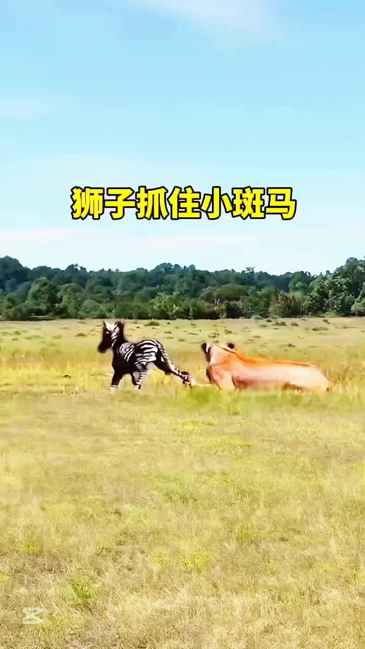 @liujiangyu