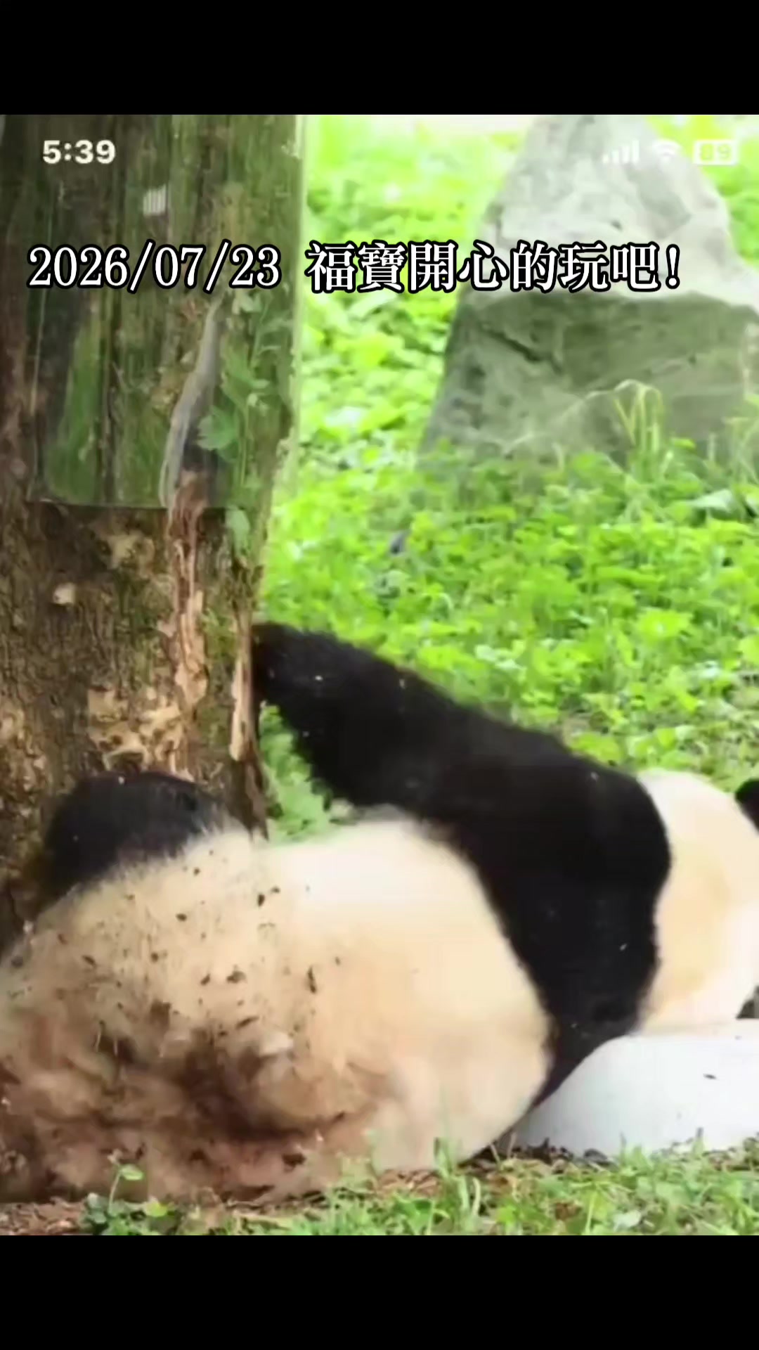 @福寶需要愛的抱抱