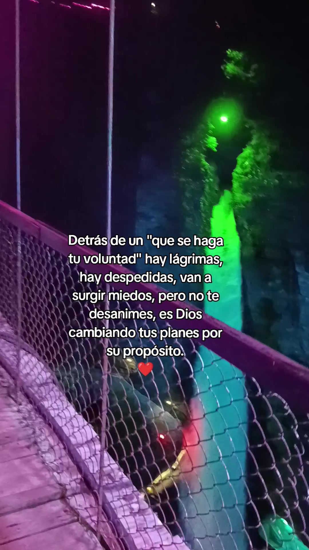 @Piedad_Romero💚