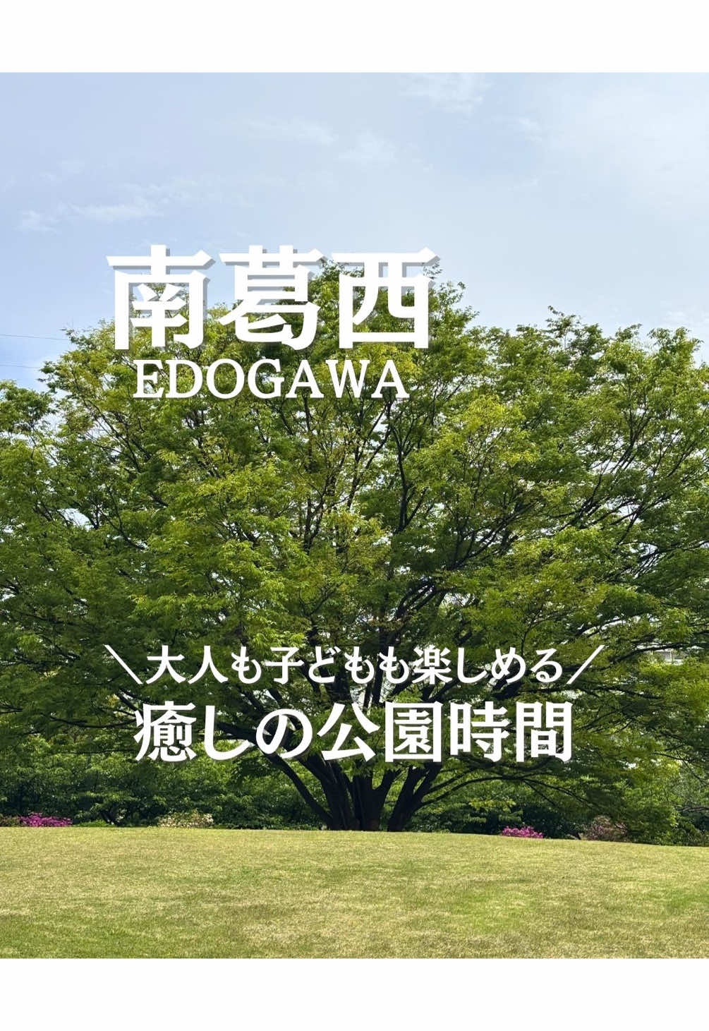 @ことり〻江戸川区 まちの魅力再発見