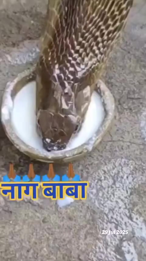 @bhimmanandhar8