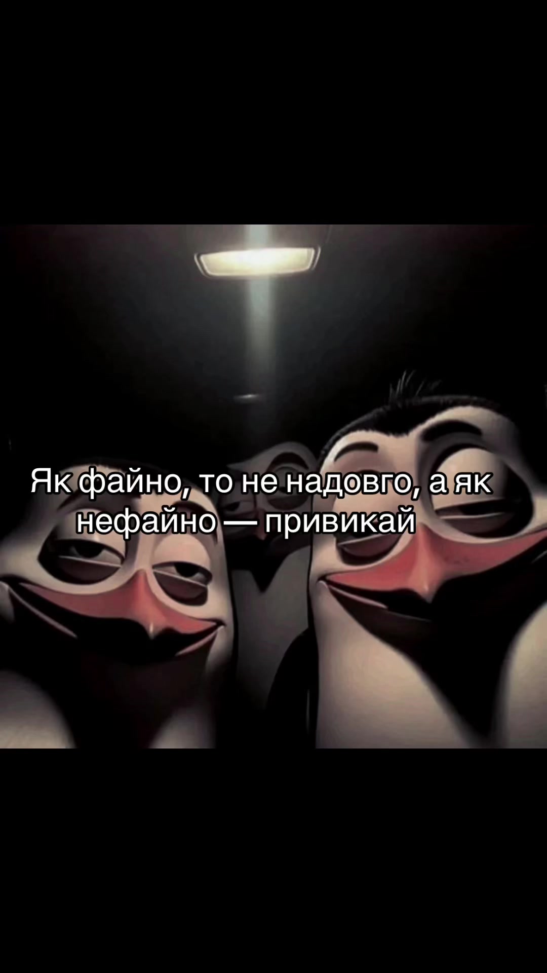 @l.e.k.v.a.r