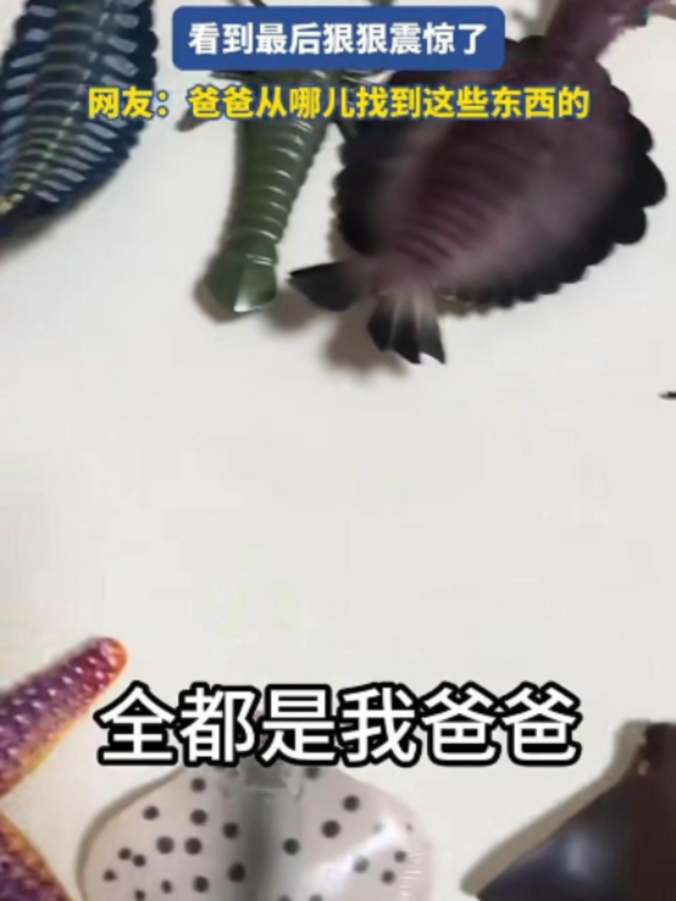 @中国蓝国际