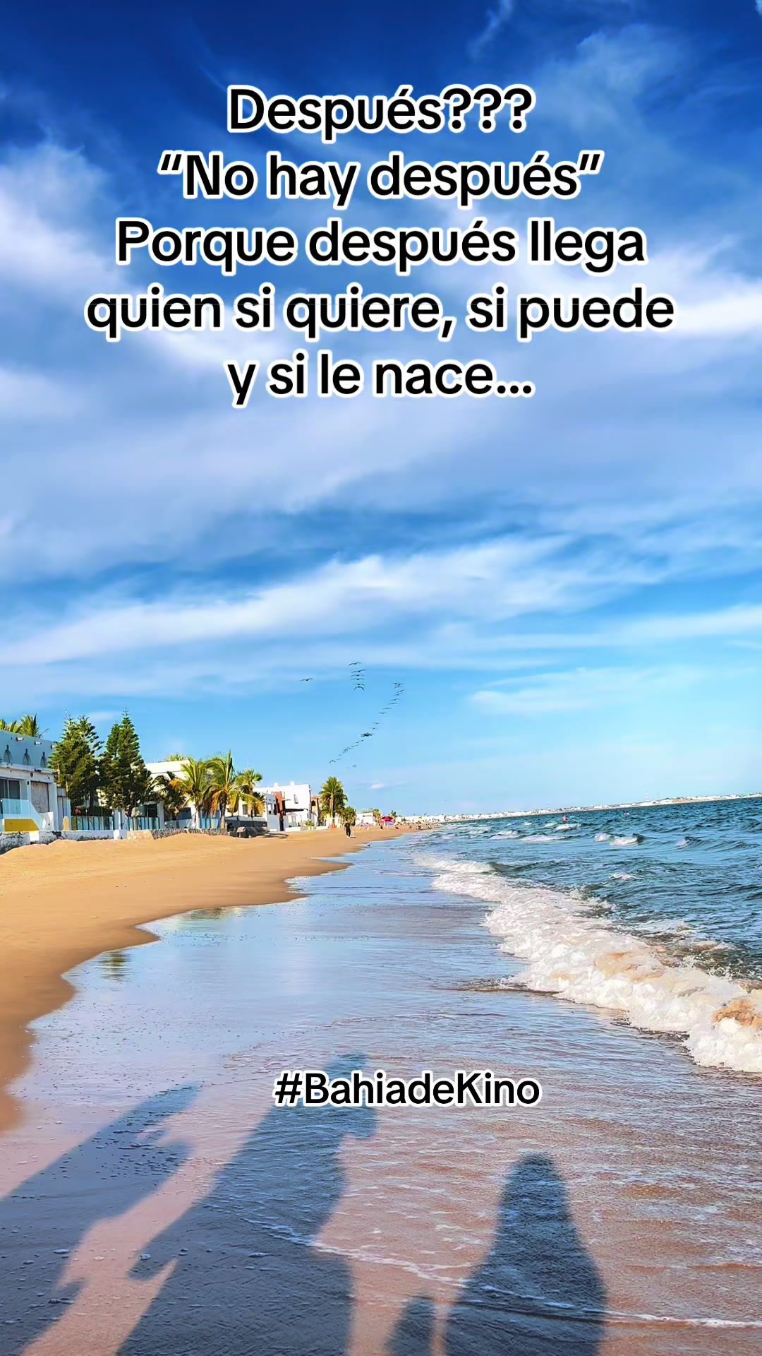 @Celina Dumer