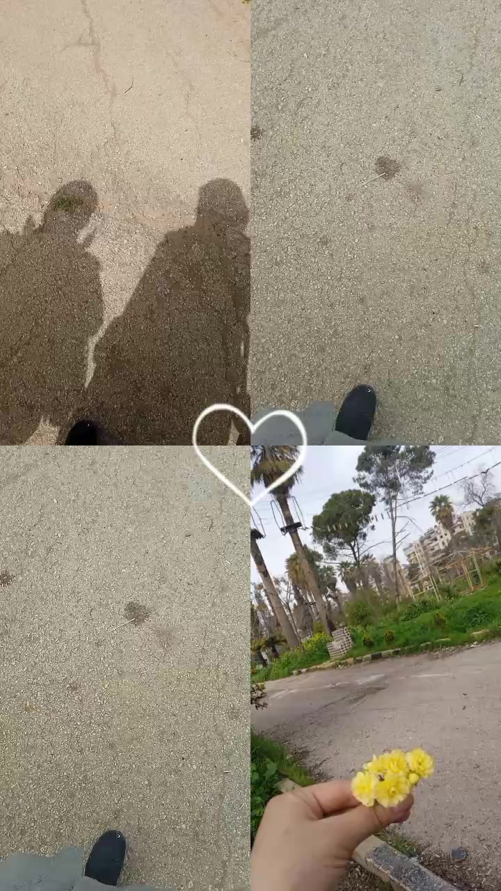 @ياسمين شام