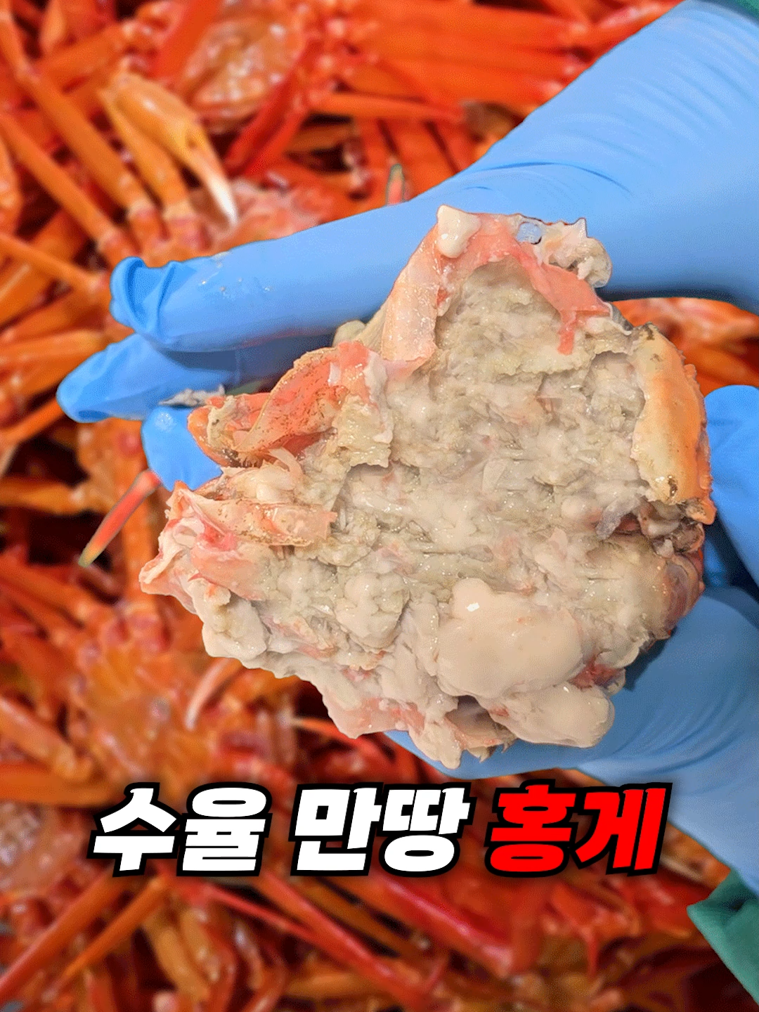 @싱싱헌터스