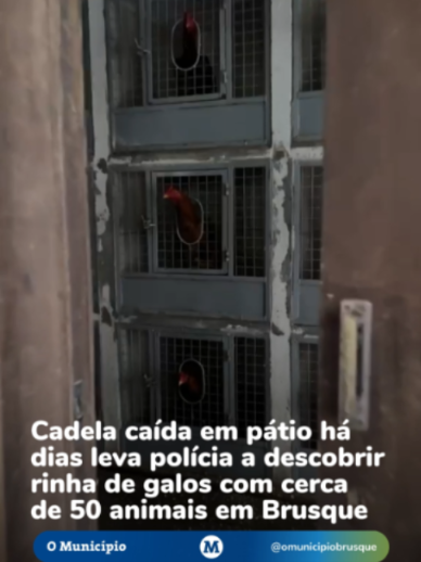 @O Município