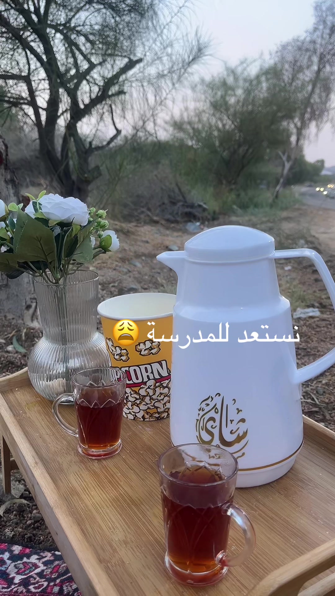 @مها الطايف