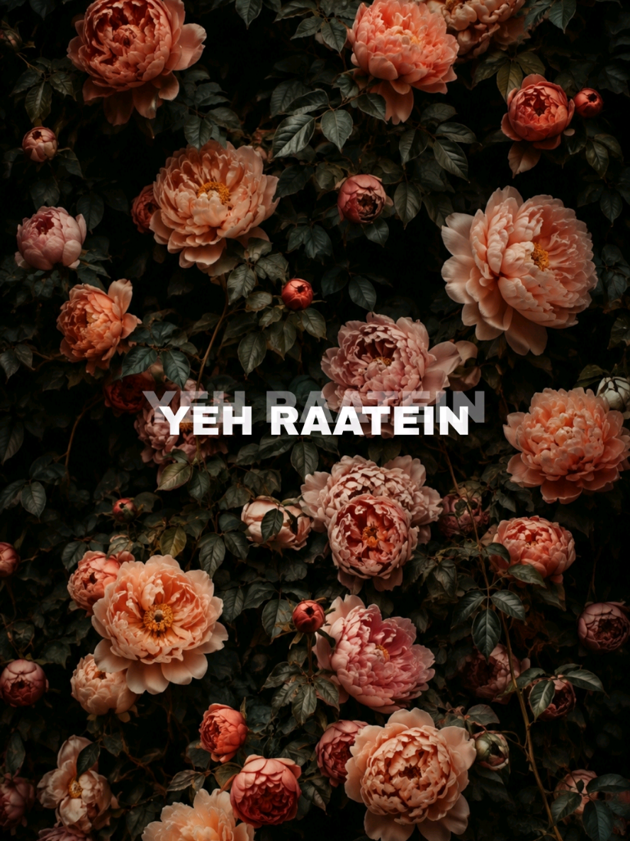 @Vknn911
