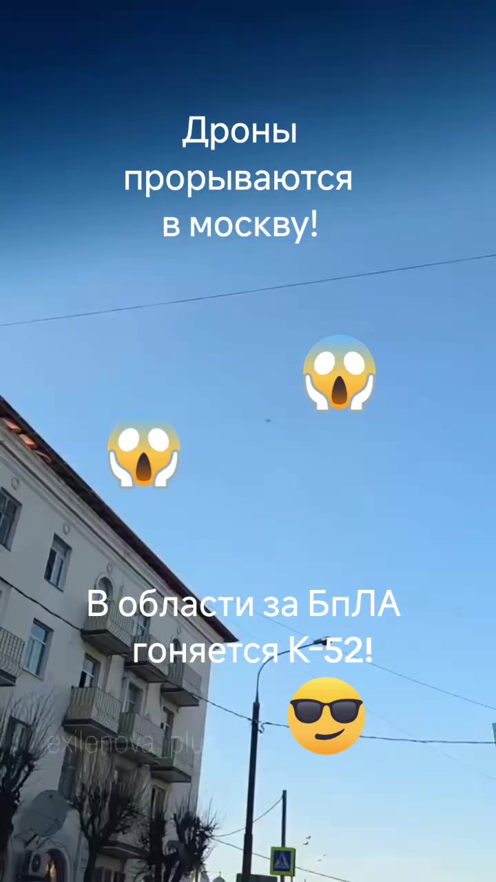 @haliina5