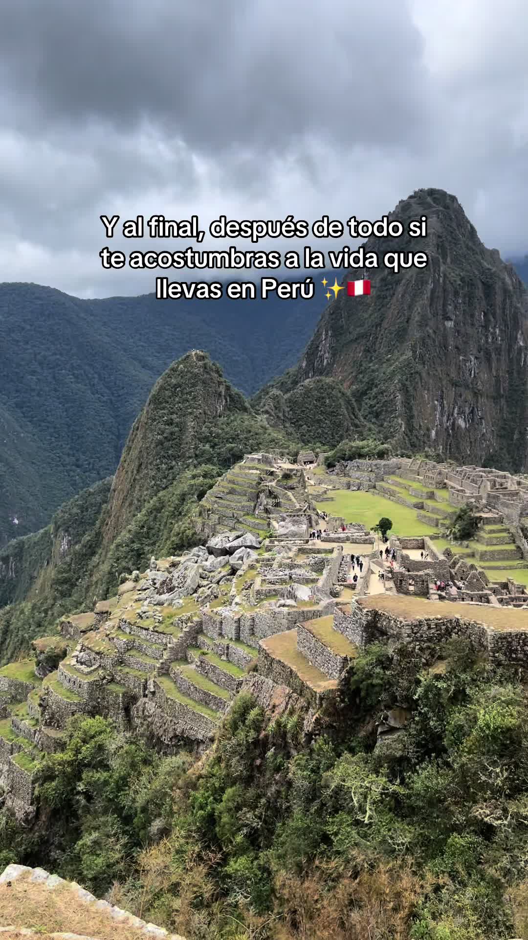 @✨✨