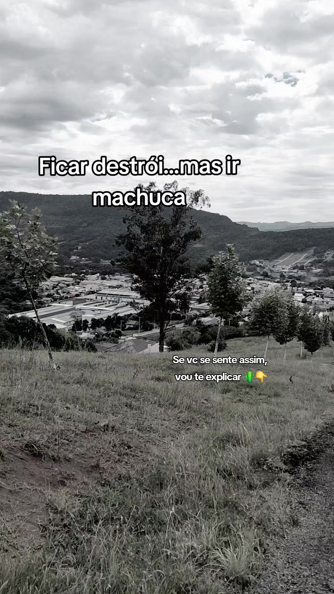 @🌵🐑DÉIACACTUS🦂