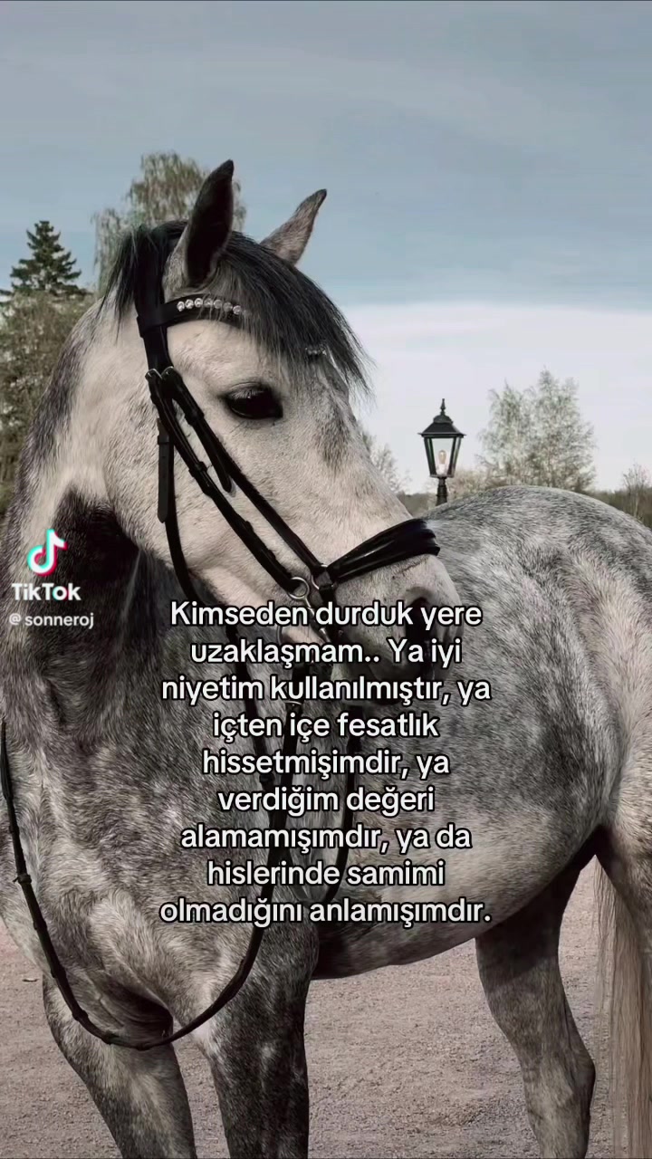 @YağızSevdaBarış