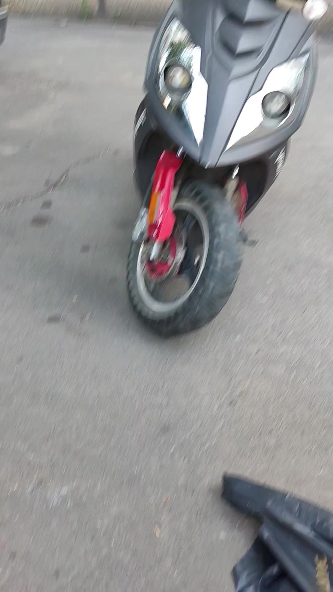 @_Krolik_444