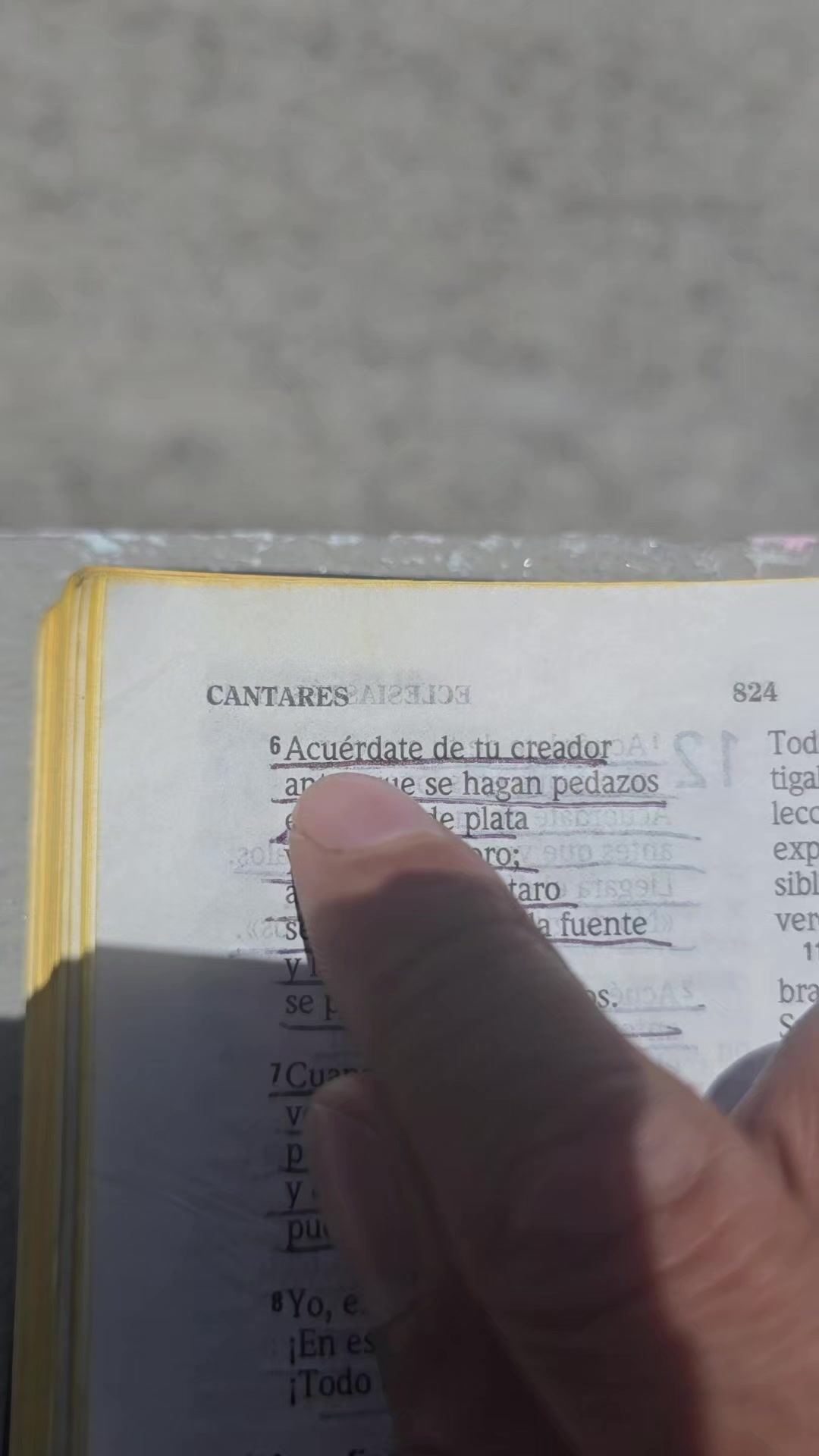 @Palabra de Dios