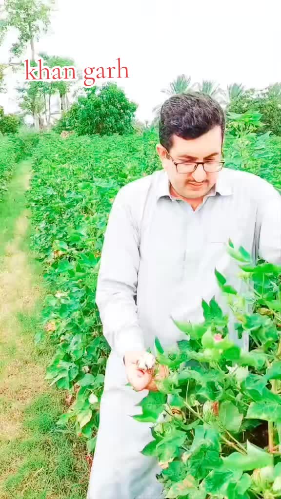 @خبیب خان