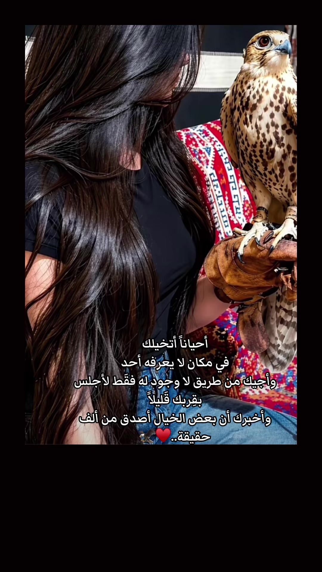 @💕شيهانة الجنوب💕