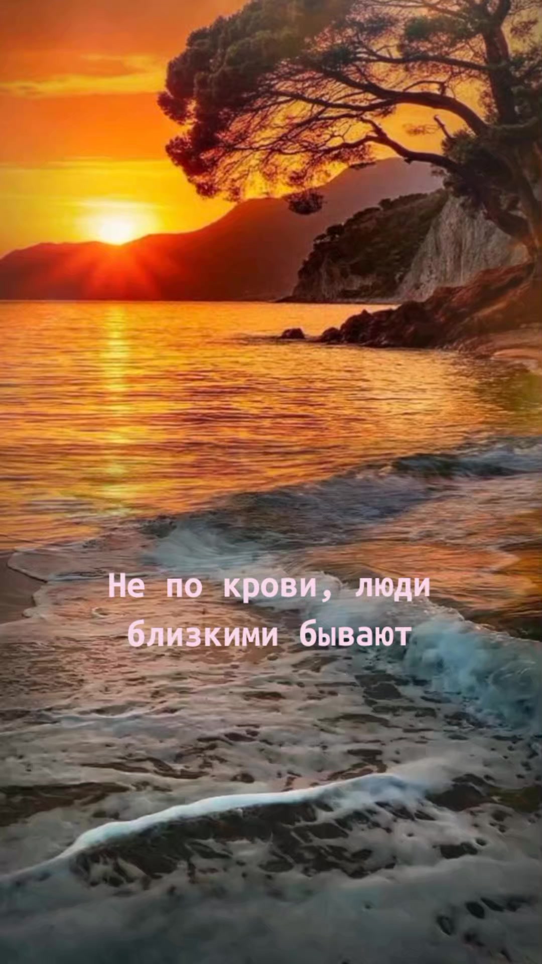 @Елена
