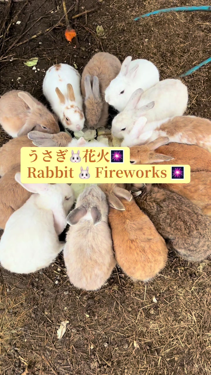@billion_farm