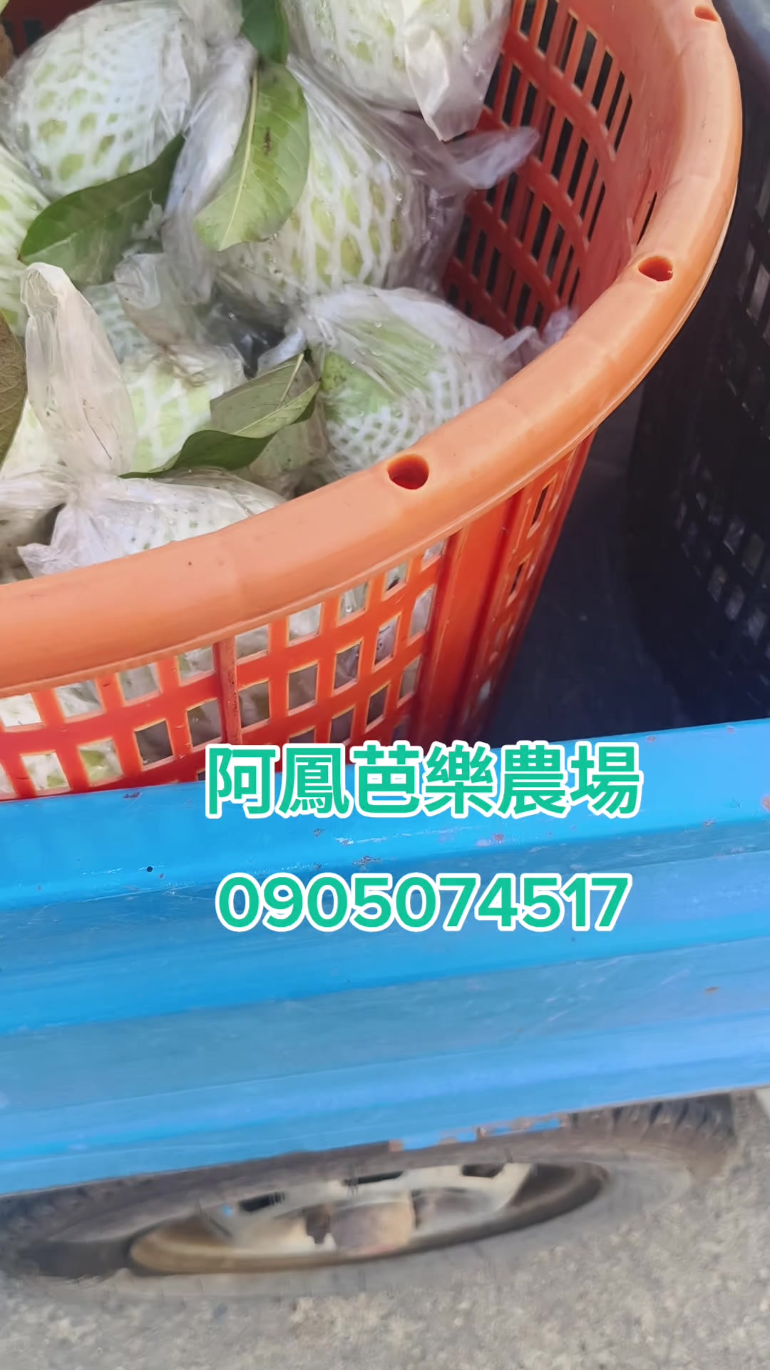 @阿軒