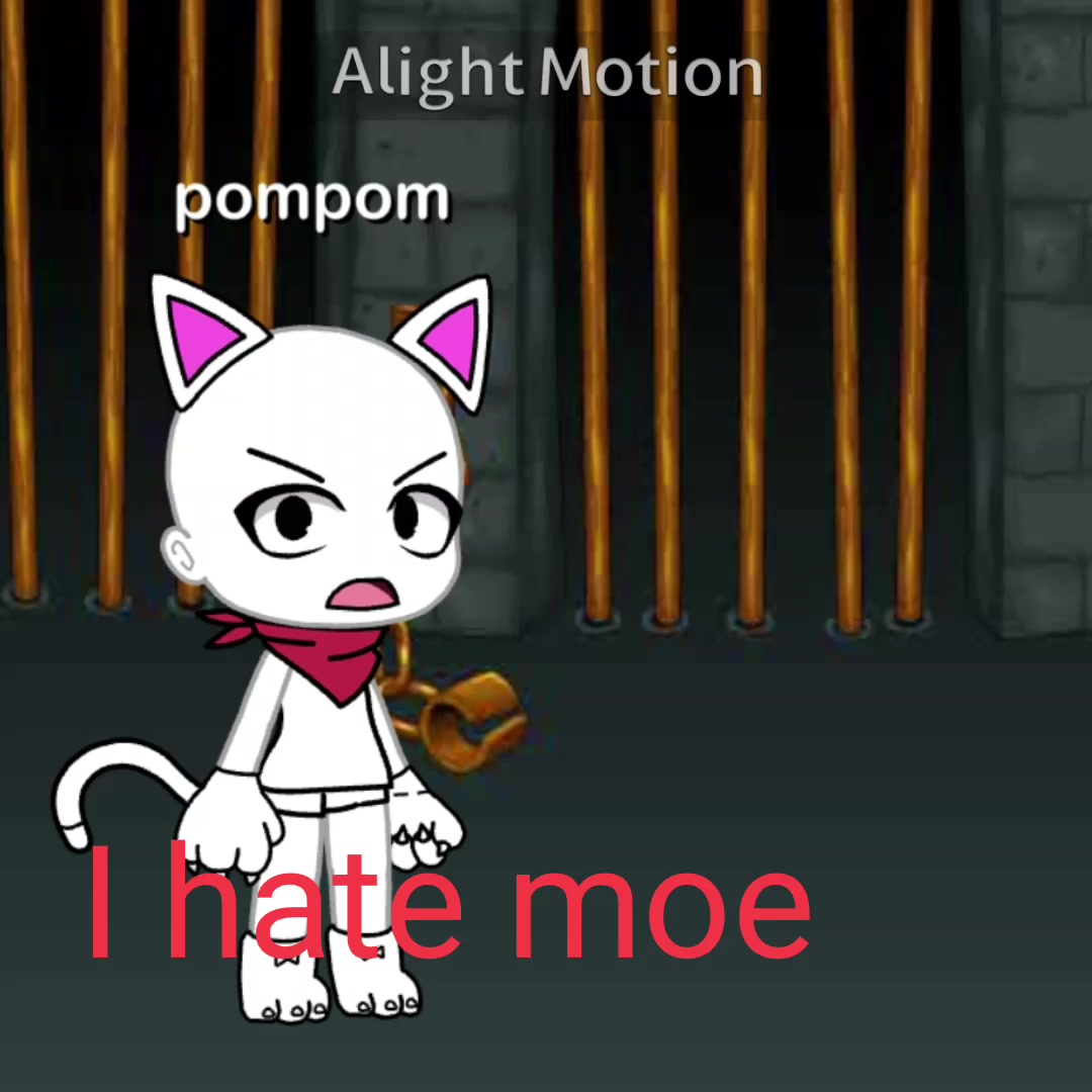 @pompom_cool2
