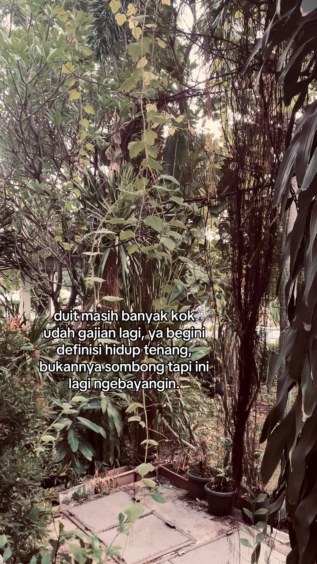 @ryy.