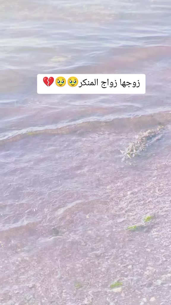 @aziz ouni