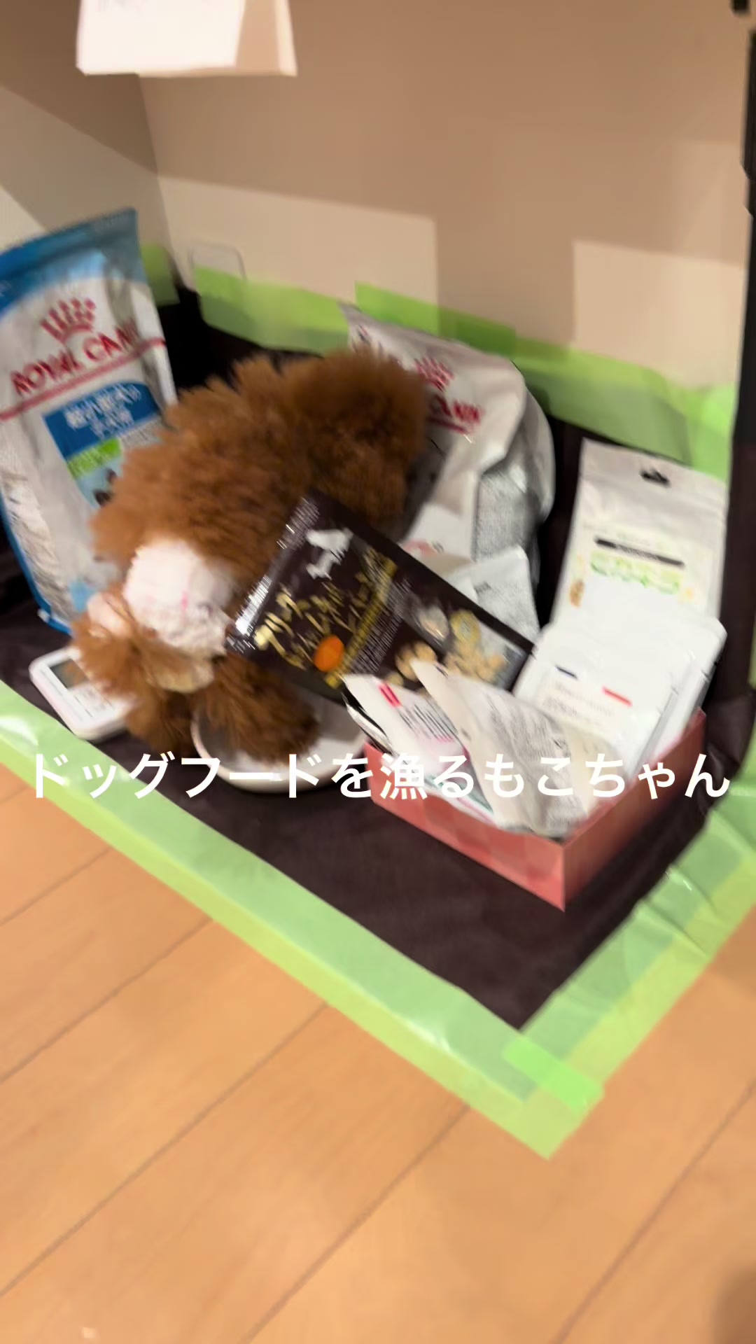 @もこ
