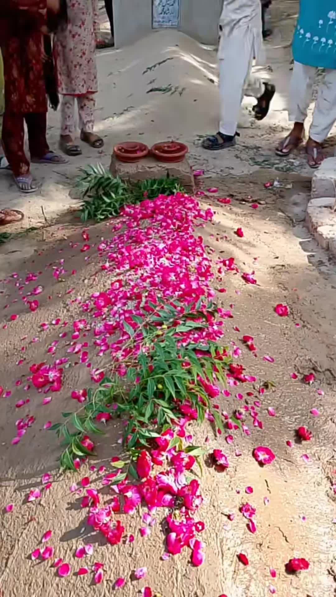 @Shahid pardesi