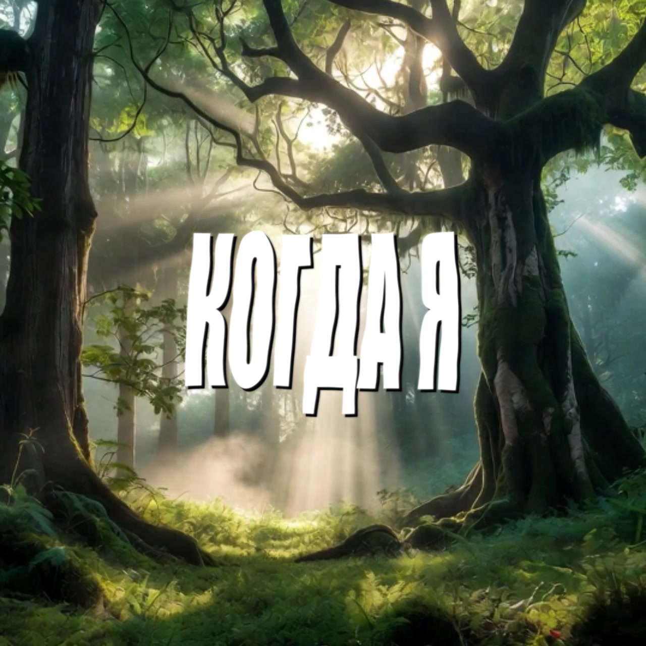 @динзик🤍| ディン