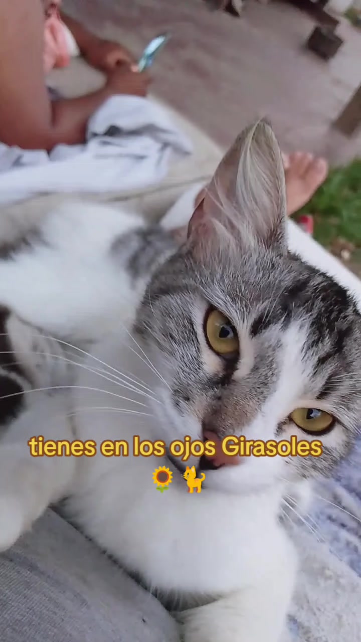 @Arely