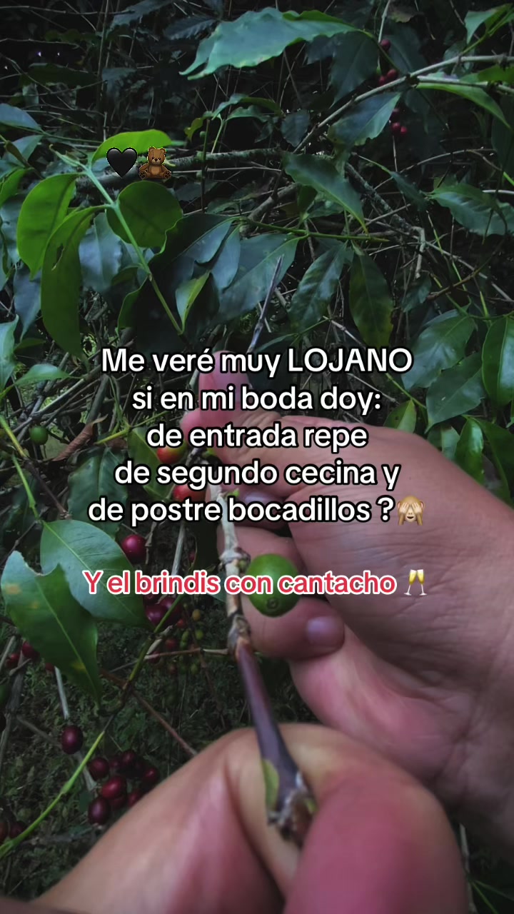 @Jos&eacute; David 🍏🇪🇨