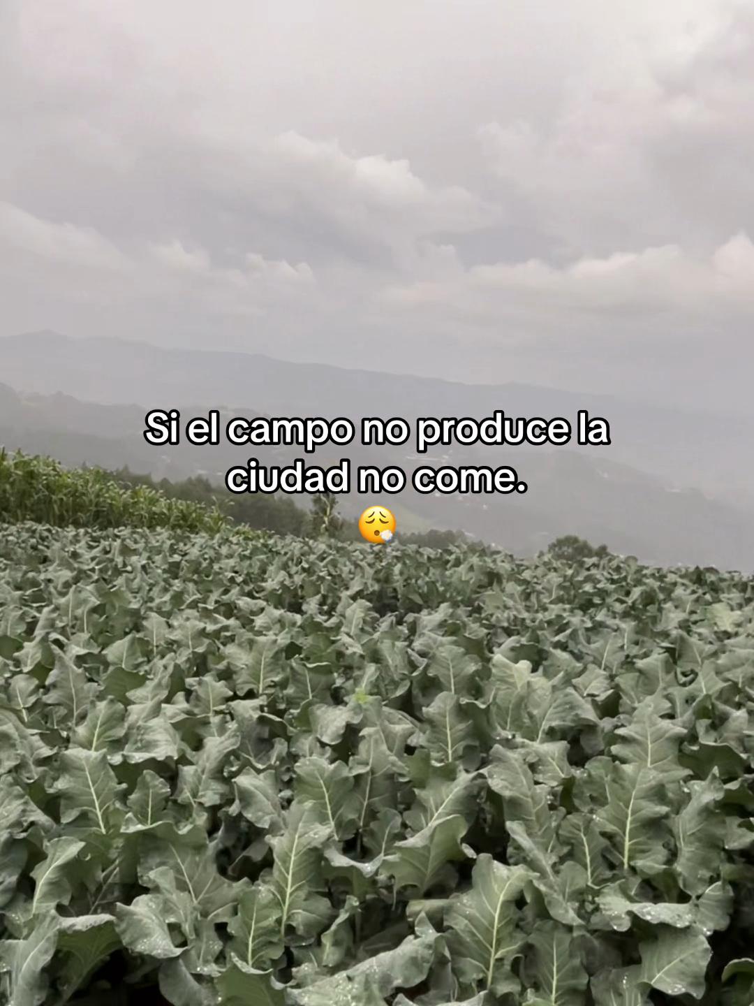 @Henry 🫡🤠