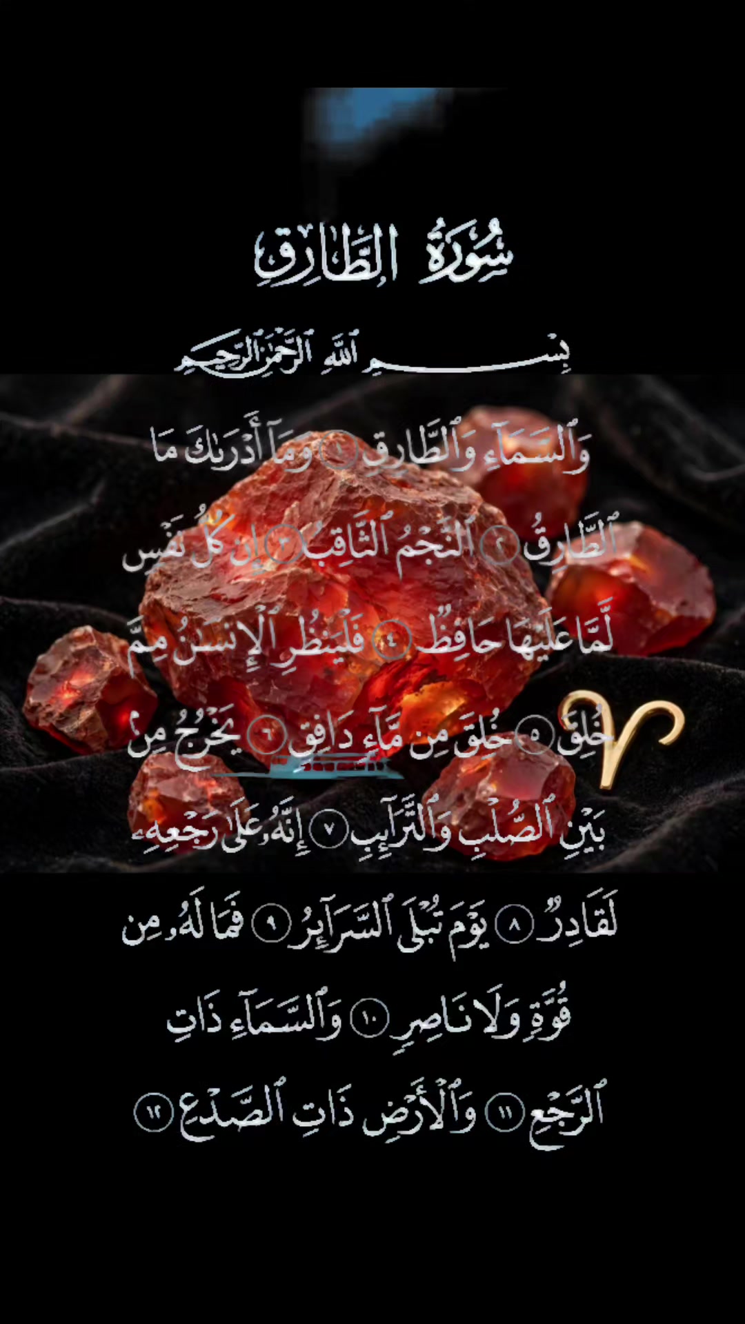 @واثقه بالله