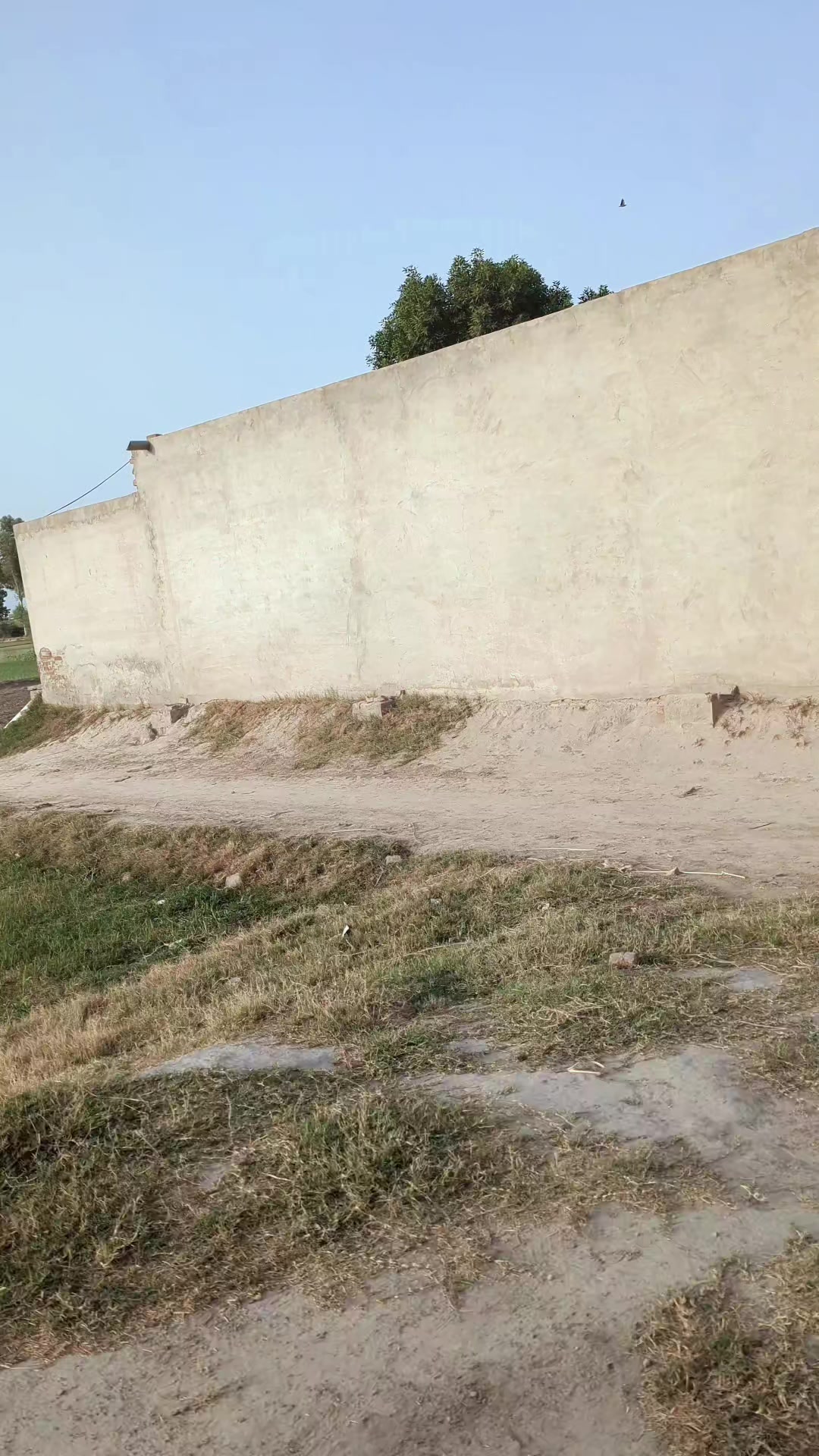 @Mahar Babar Haraj💕