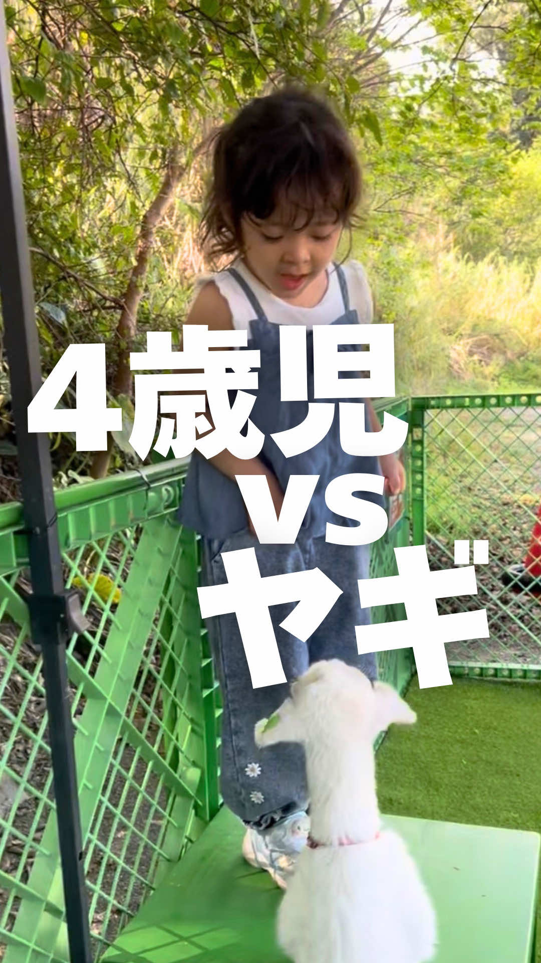 @nonmiko25