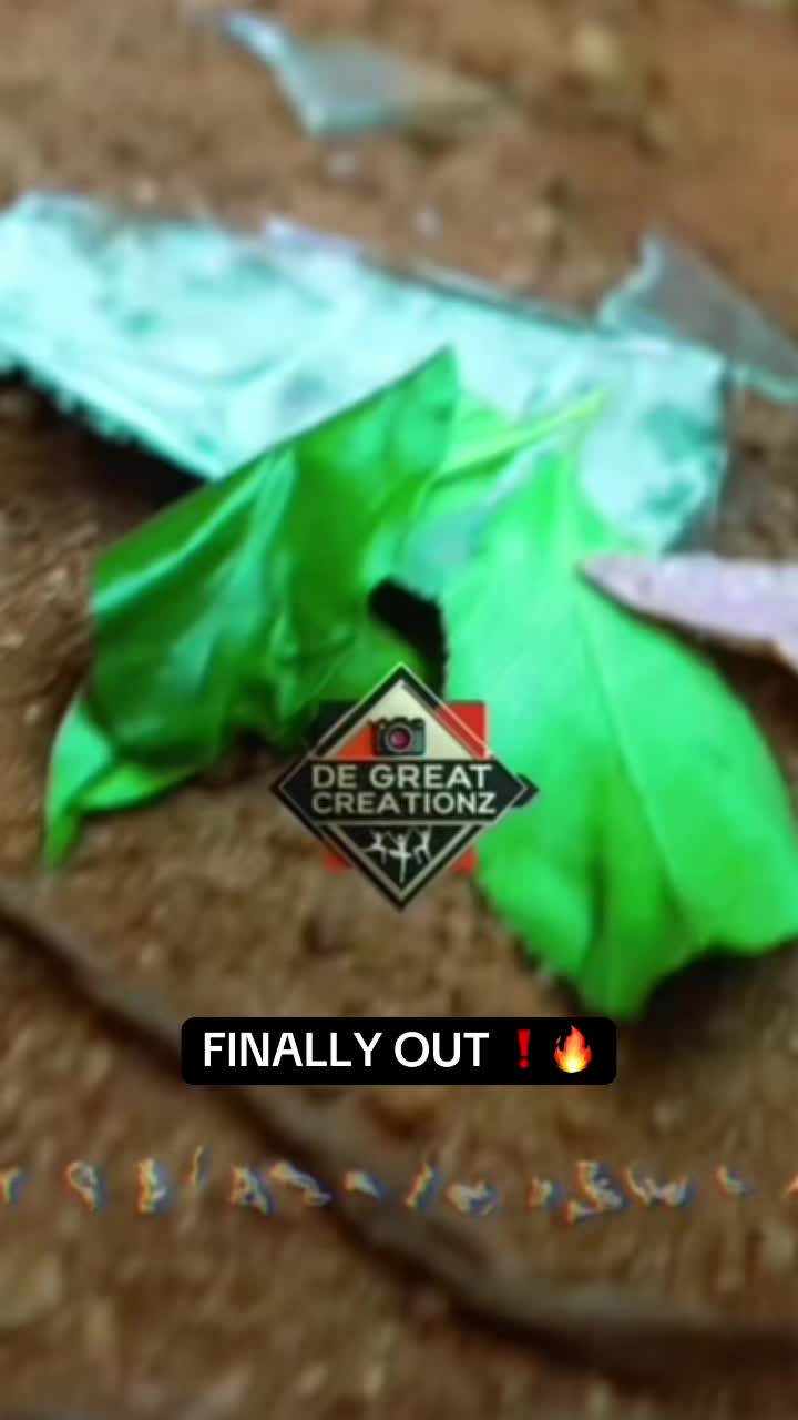@GUMITE EMPIRE 🇺🇬