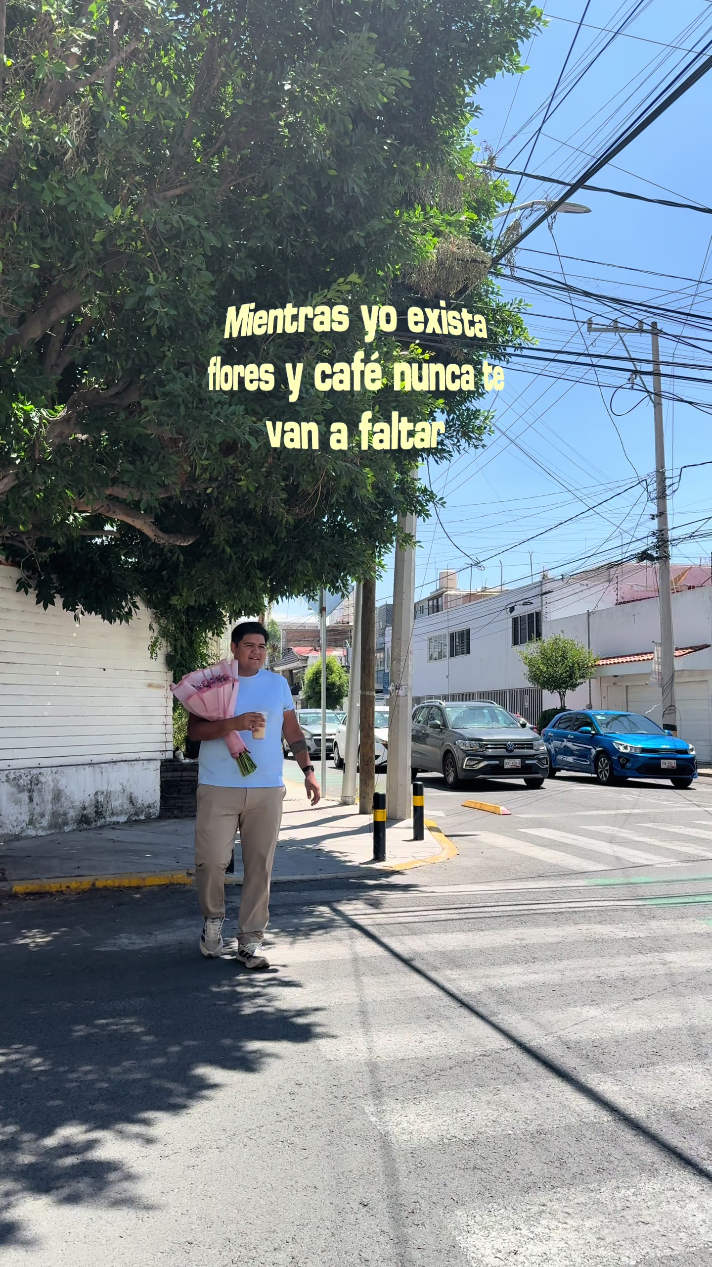 @Aflorear.mx