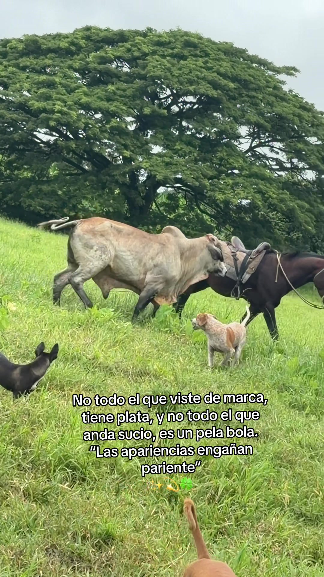 @Enma Martinez