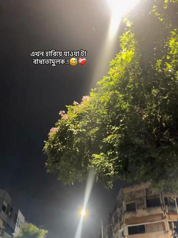@it&rsquo;s Abir '♡🕊️