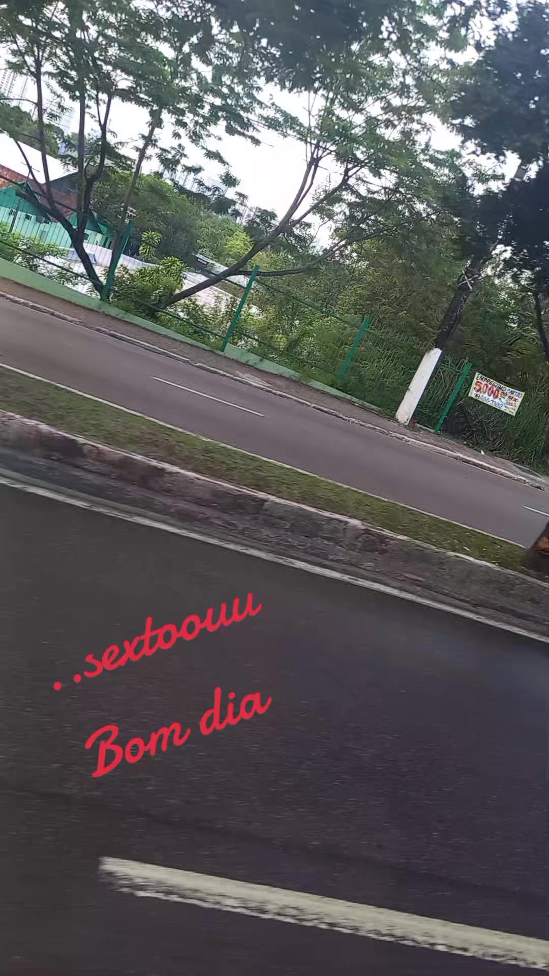 @Urso 🐻 Master