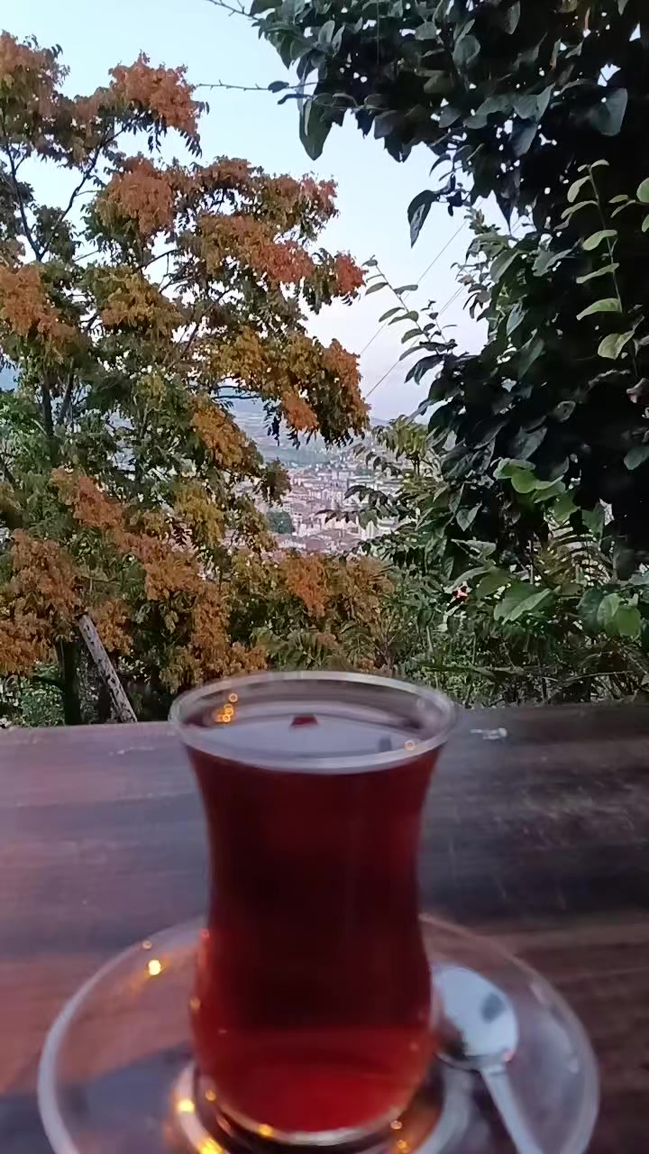 @🕸️hakan🕸️