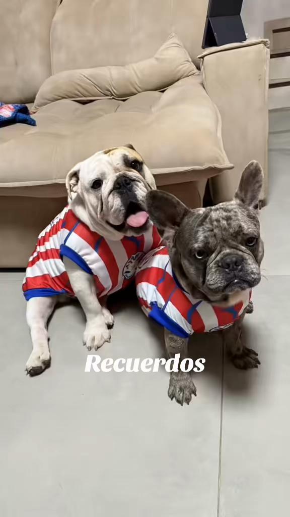 @Marlen Diaz 025