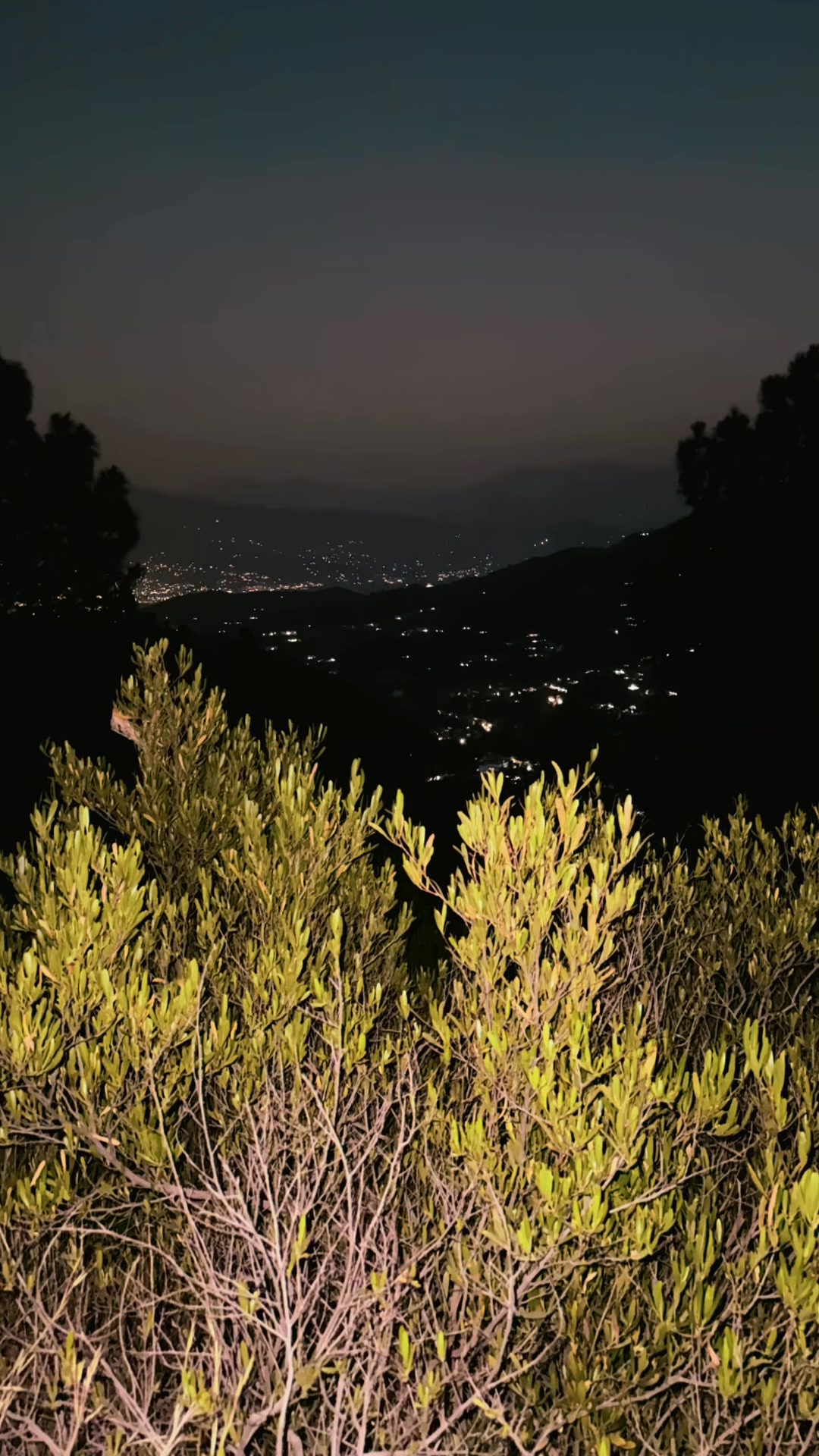 @🌿 𝓝𝓪𝓽𝓾𝓻𝓮 𝓢𝓸𝓾𝓵