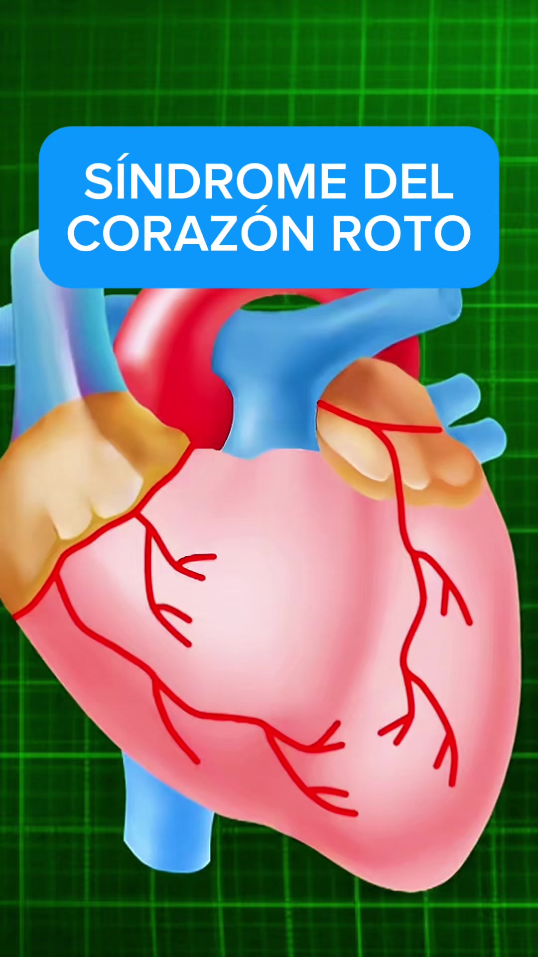 @Psicología positiva
