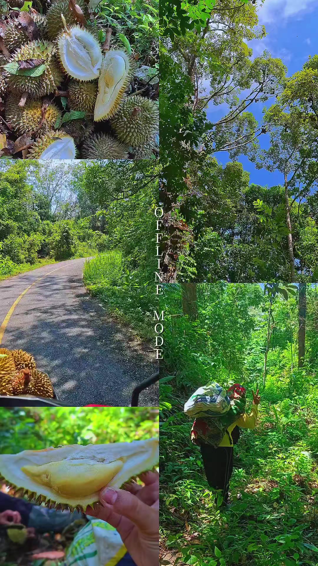@N.Da G💚7🕊️MT❤️💜BB🍵🌱